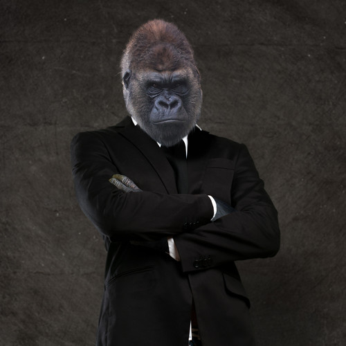 FAD La gestione del Databreach con Gorilla